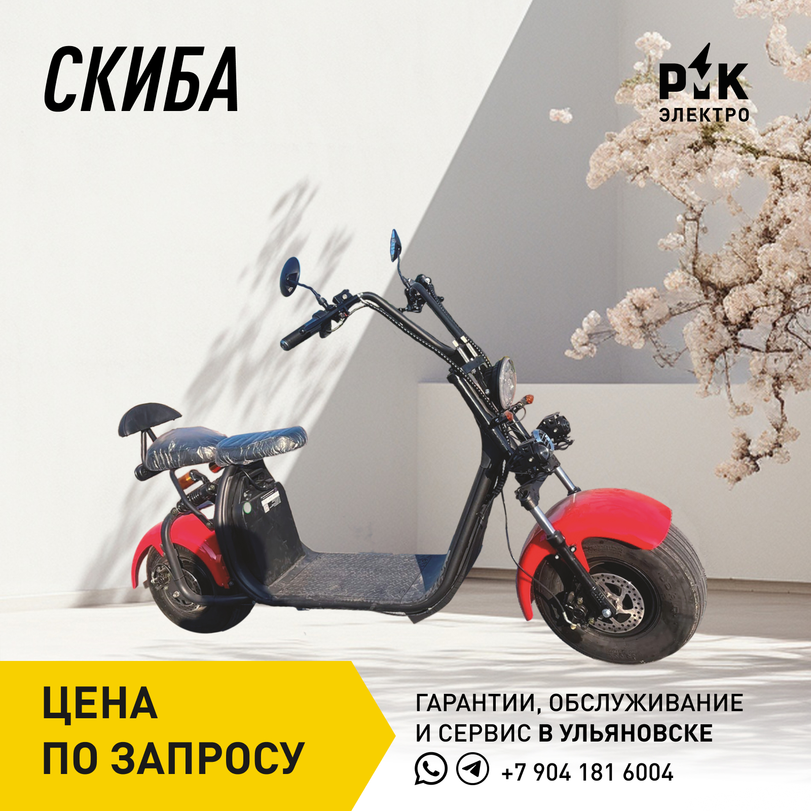 Скиба 2000