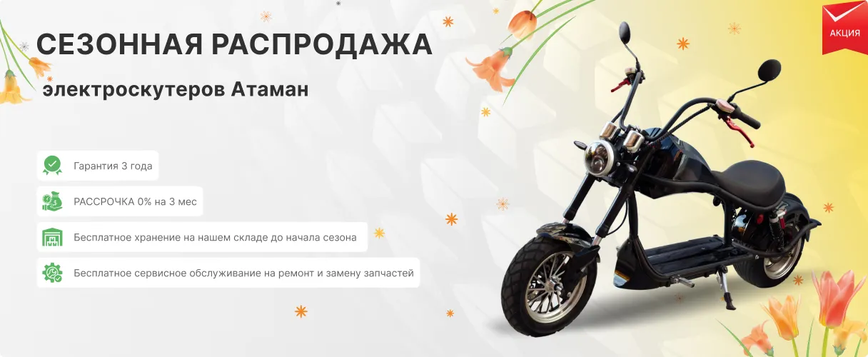 акция купить Атаман со скидкой 20%